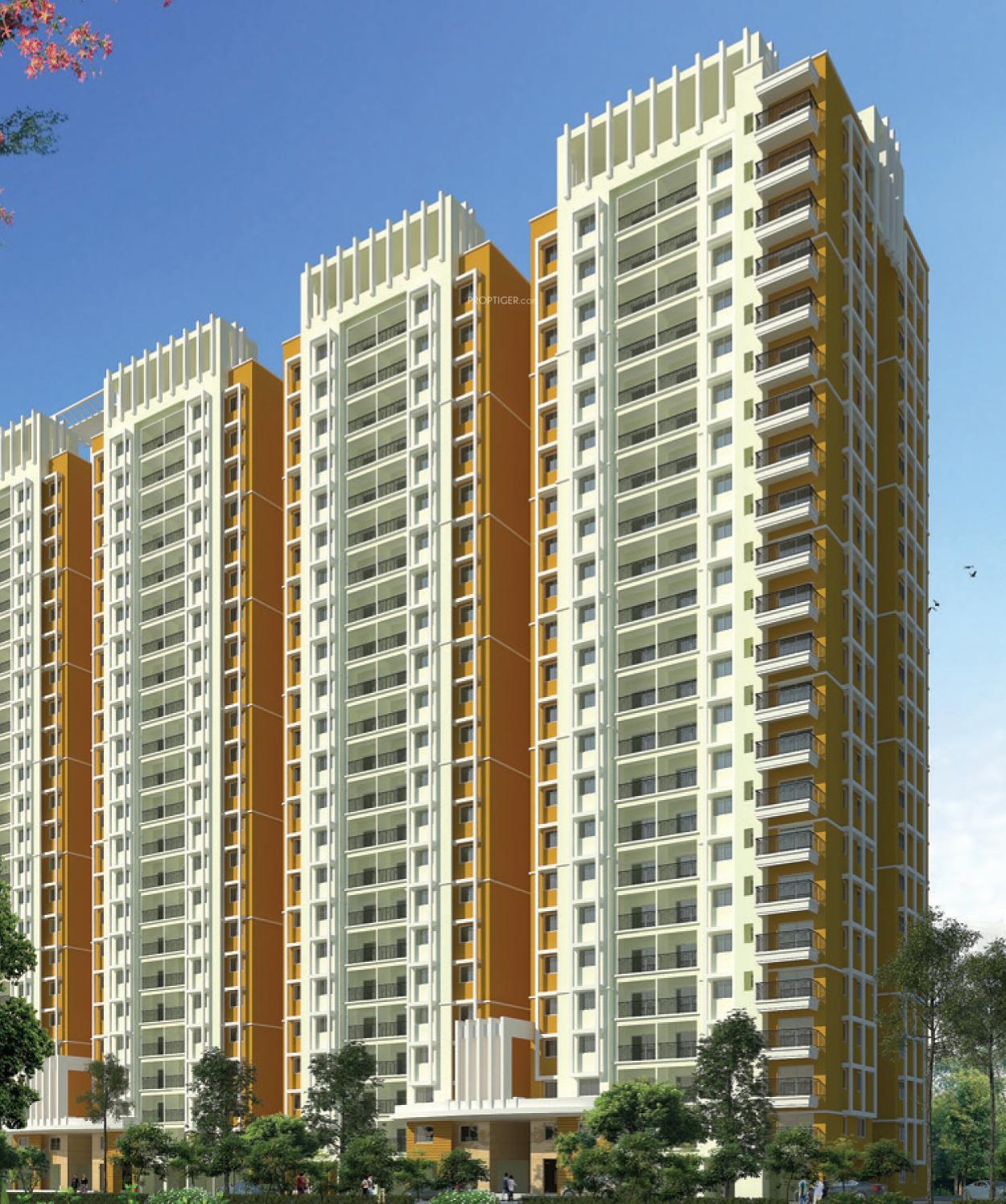  buena-vista-parent Elevation