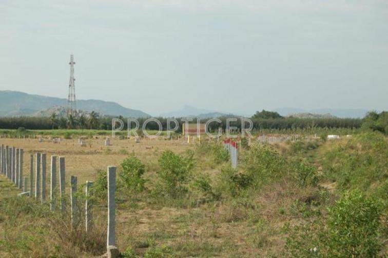 Images for Elevation of Green Peace Pine Valley