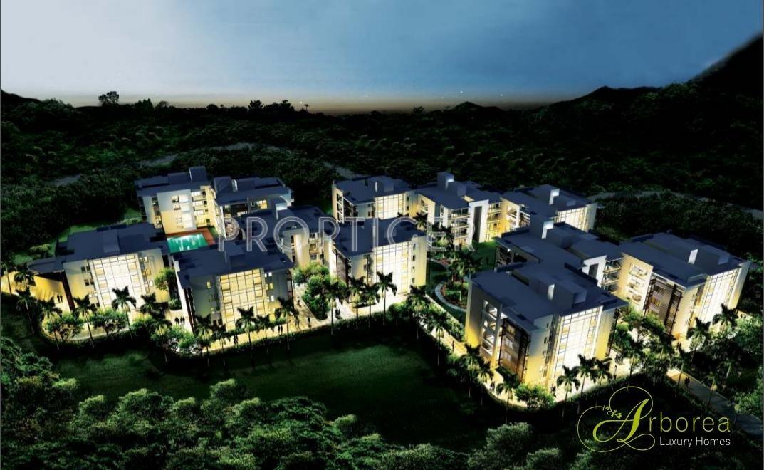 Images for Elevation of Conscient Infrastructure Arborea