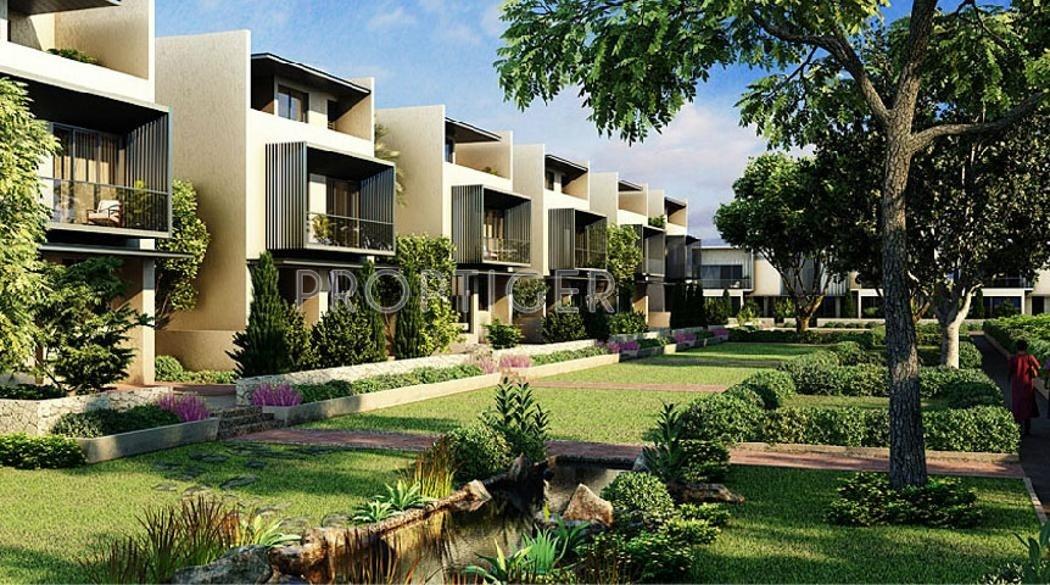 Images for Elevation of Ireo Oyster Villas