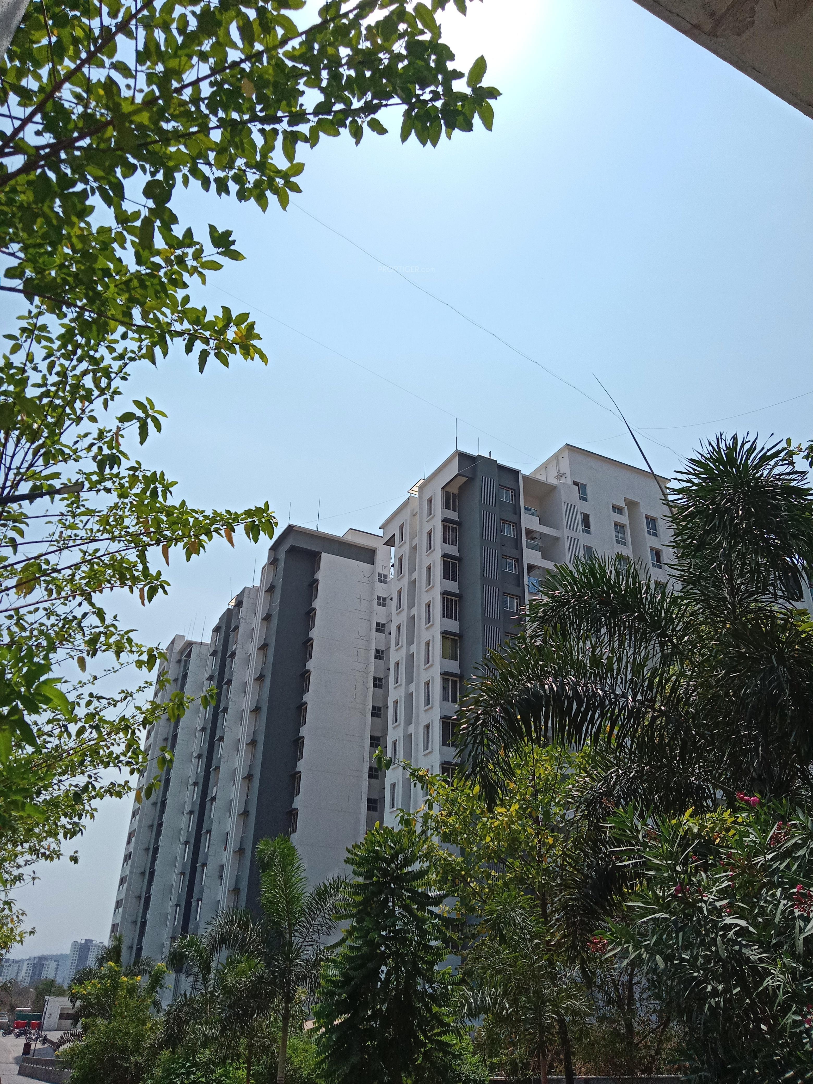  itrend-homes-phase-i Elevation