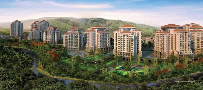  songbirds-phase-d Elevation