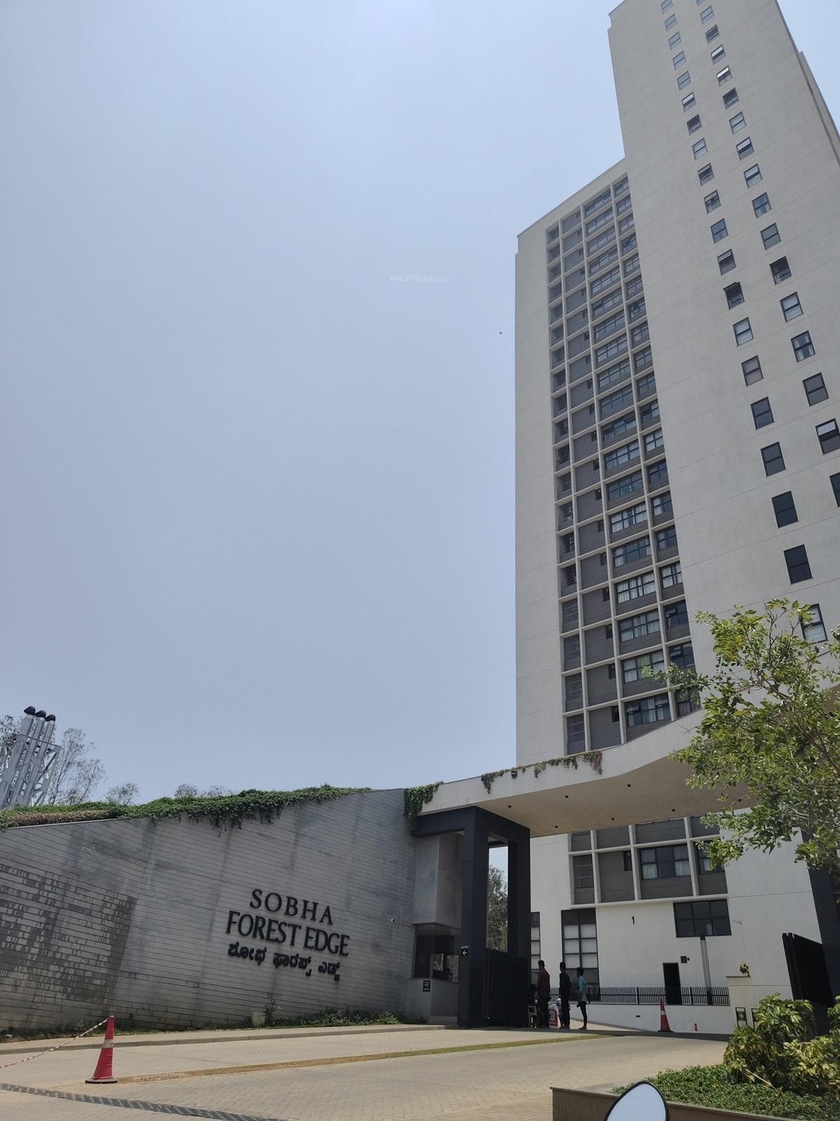  forest-edge Elevation