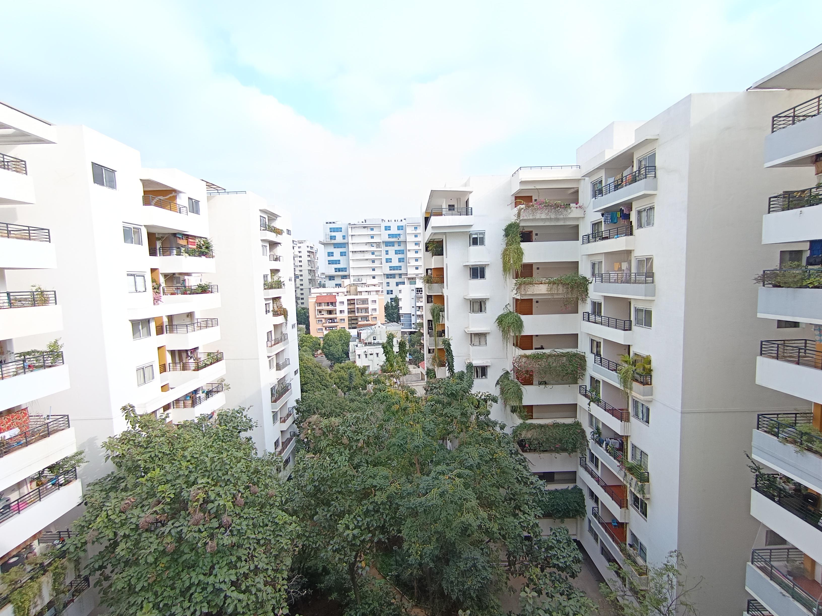  around-the-grove Elevation