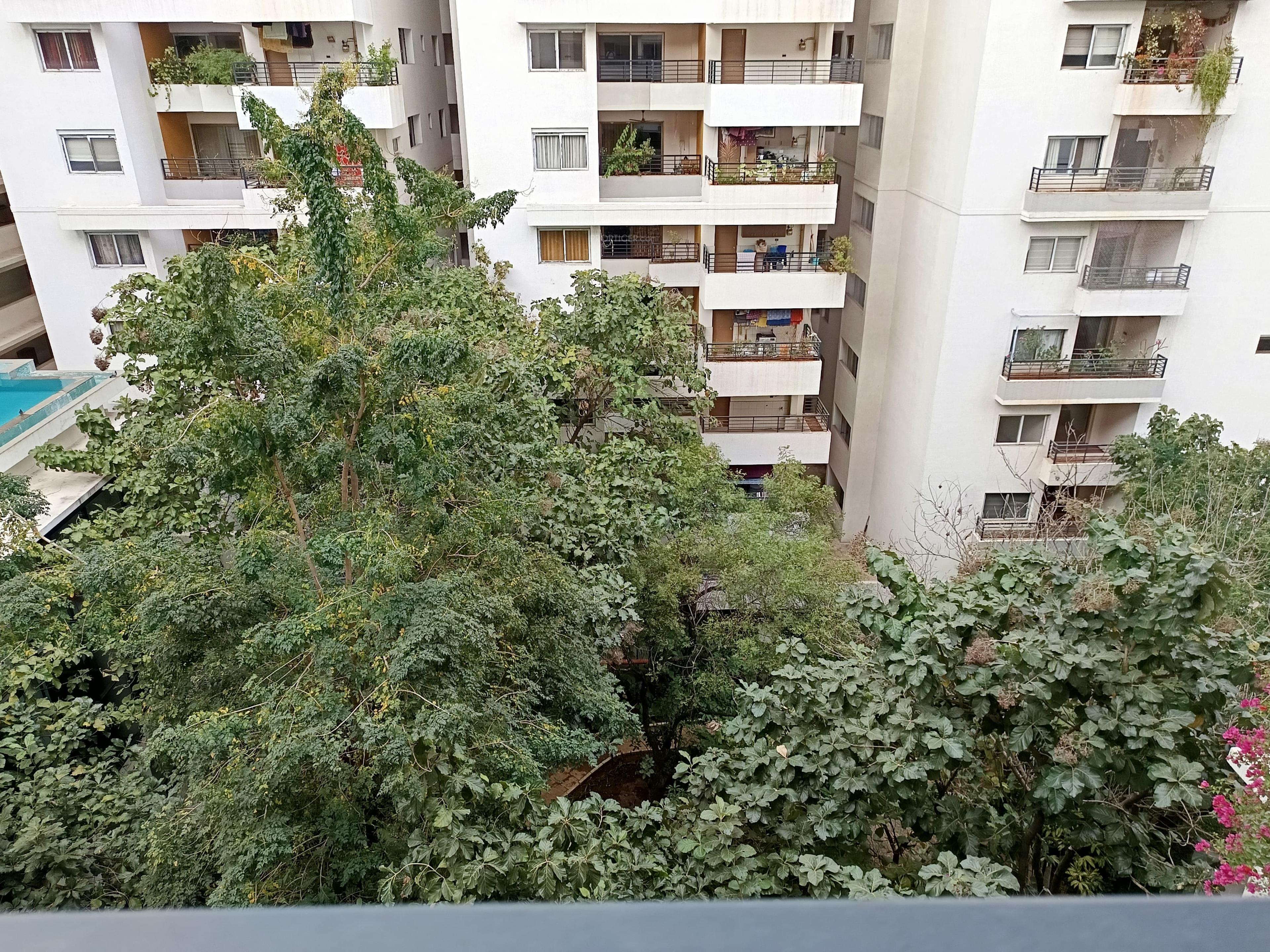  around-the-grove Elevation