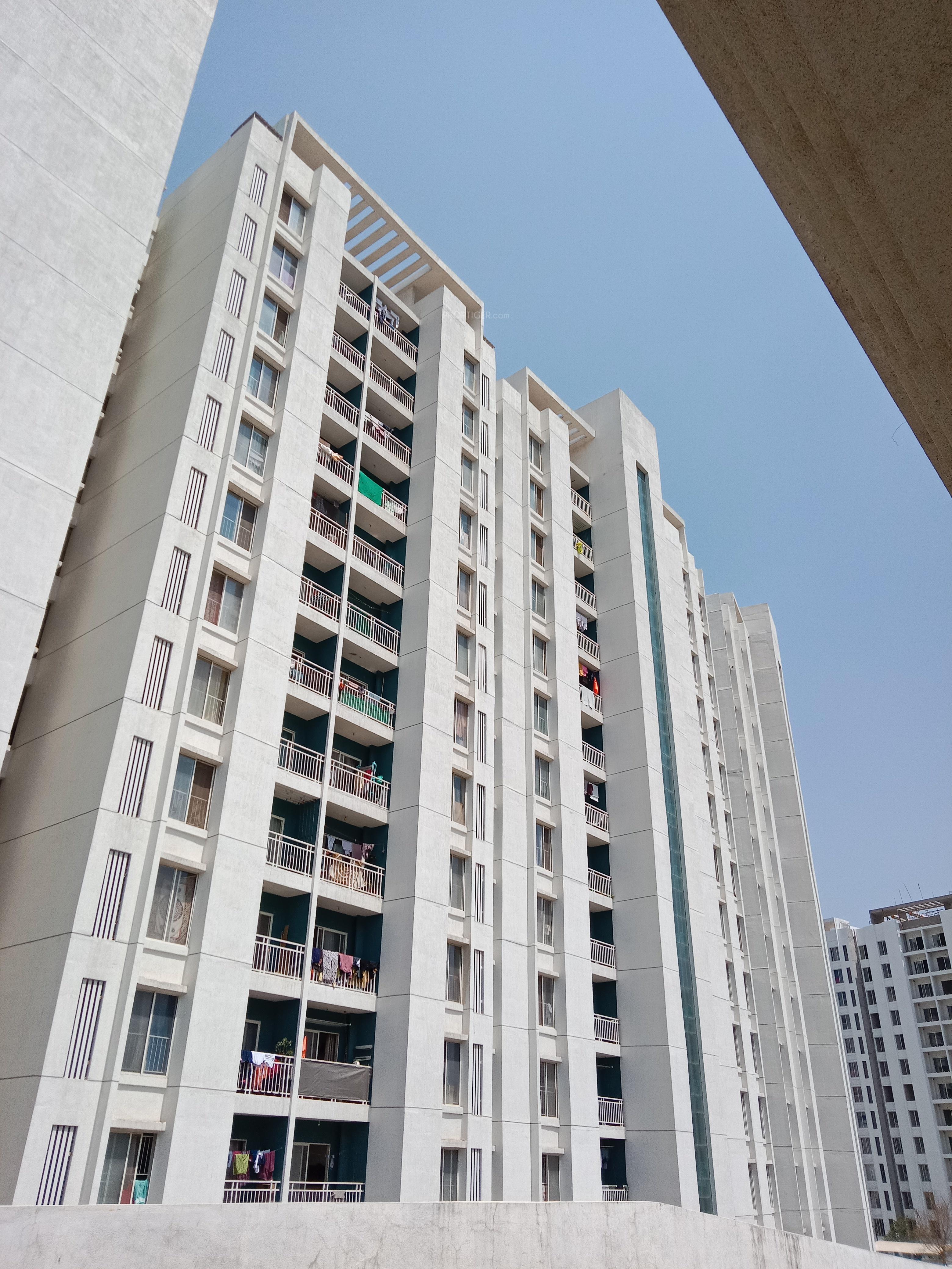  megapolis-springs-d-and-e Elevation