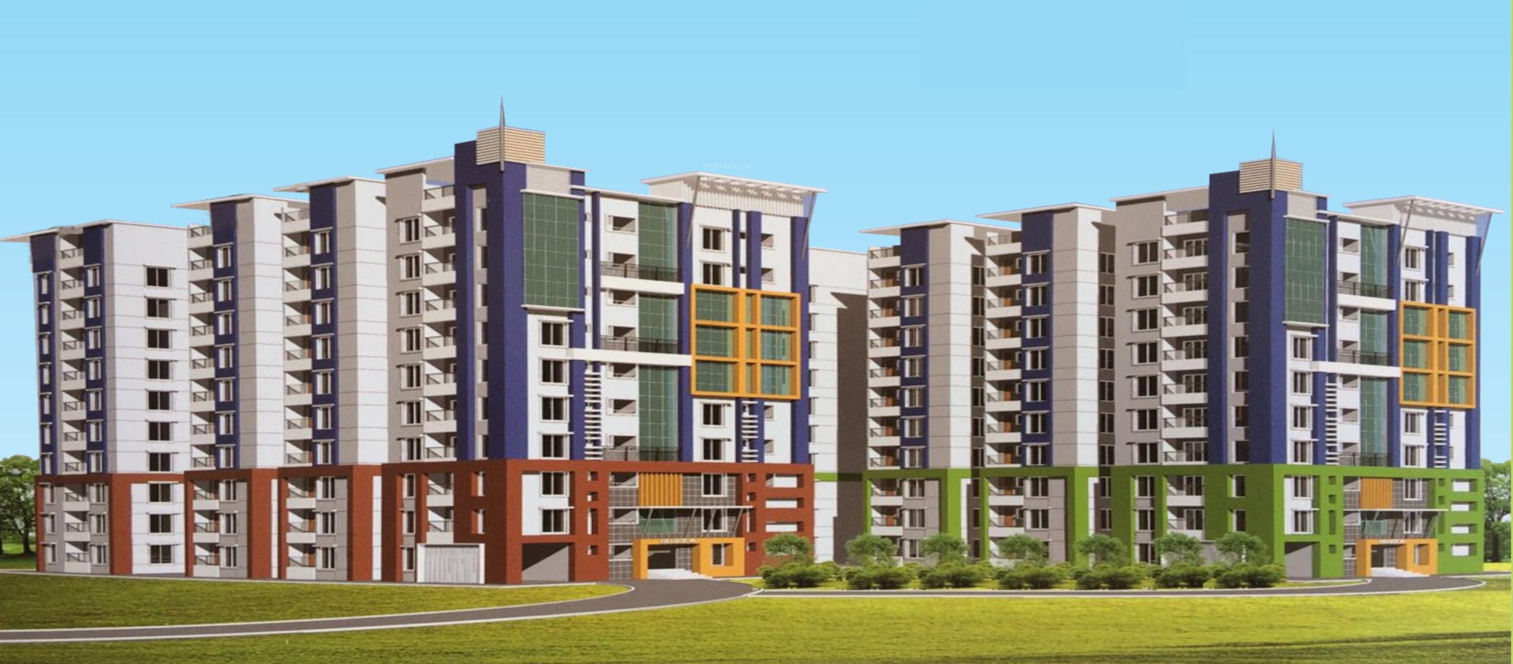 Coconut Groove Phase 2