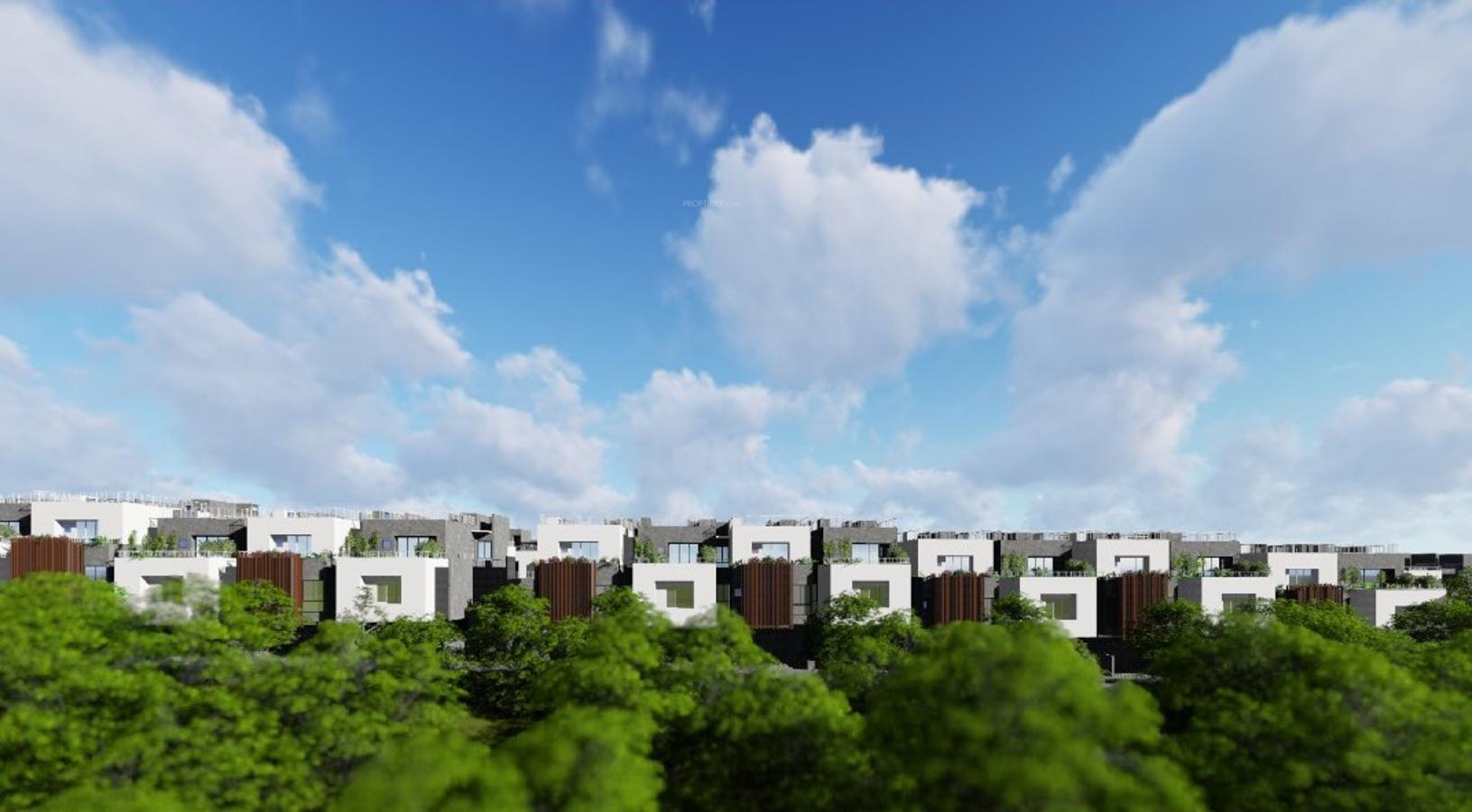 EARTH & ESSENCE PLOT DEVELOPMENT