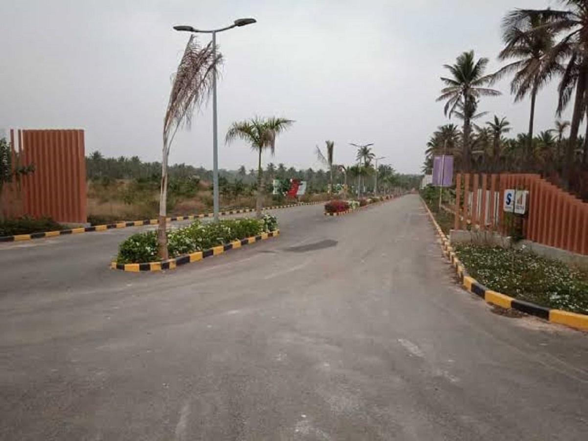  serene-life Elevation