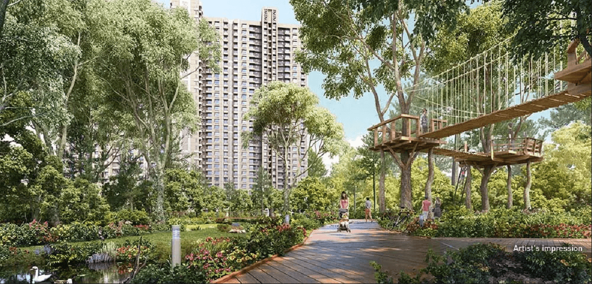 Amara Wing 40 and 41