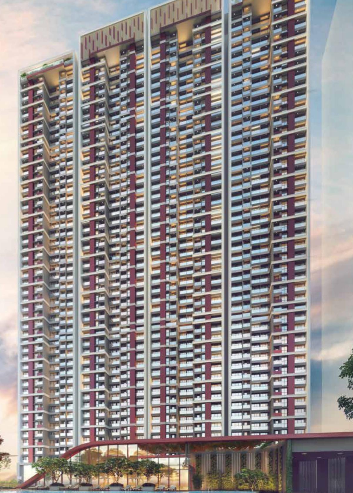 Oyster Northern Lights