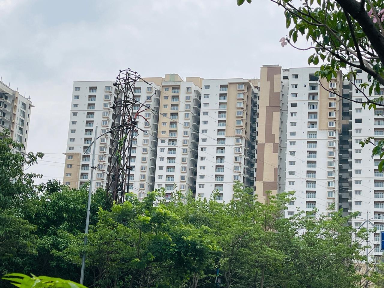  bollineni-bion Elevation