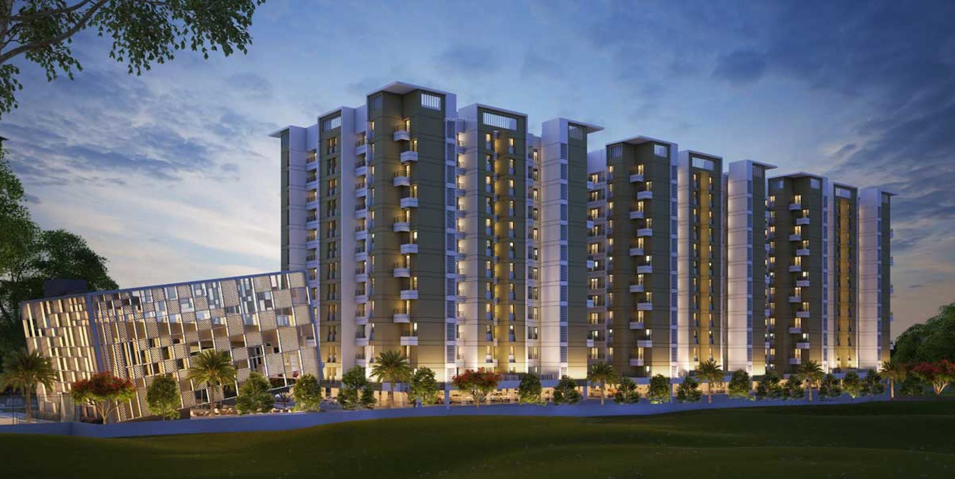  nest-building-c Elevation