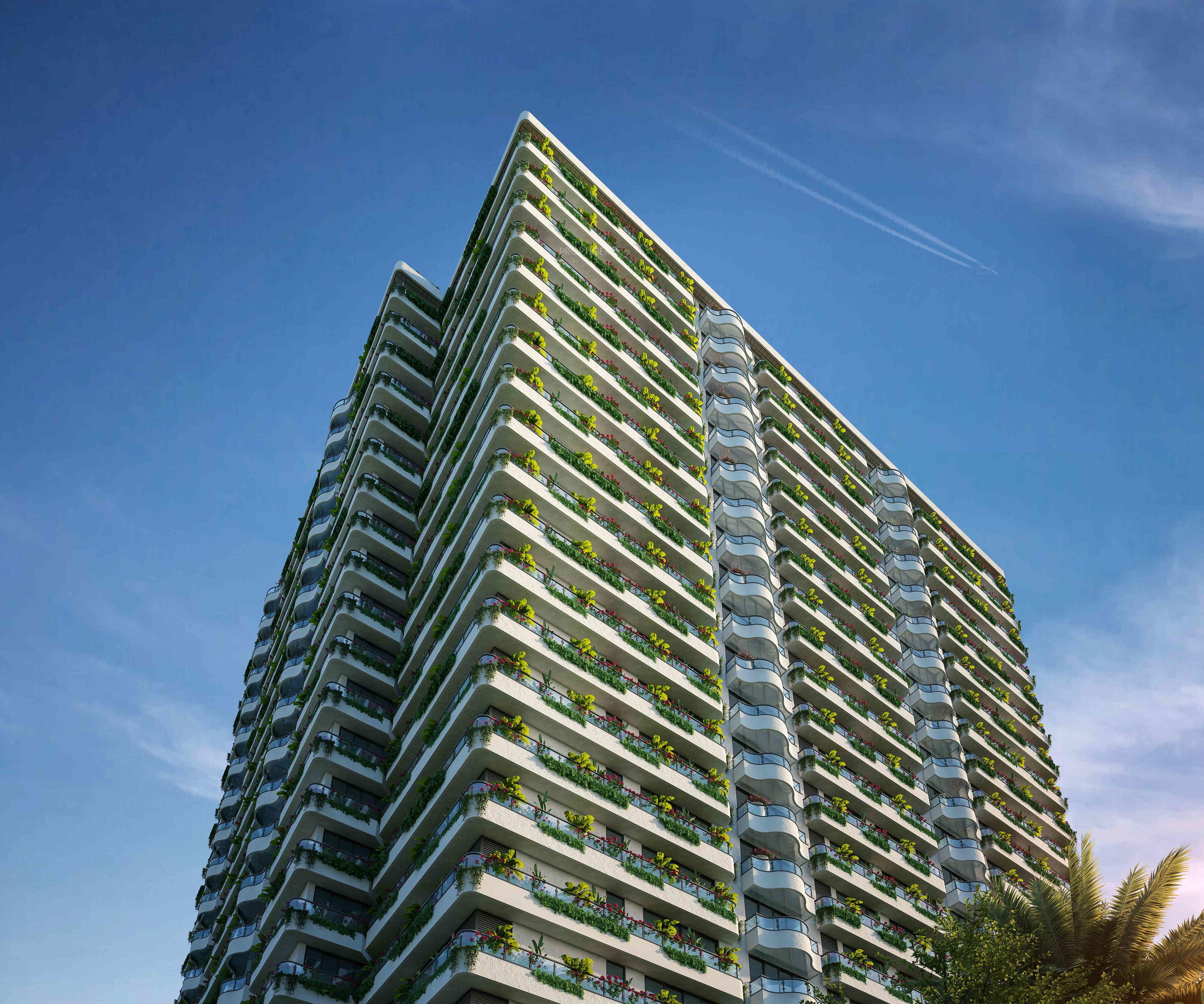  cardinal-one Elevation