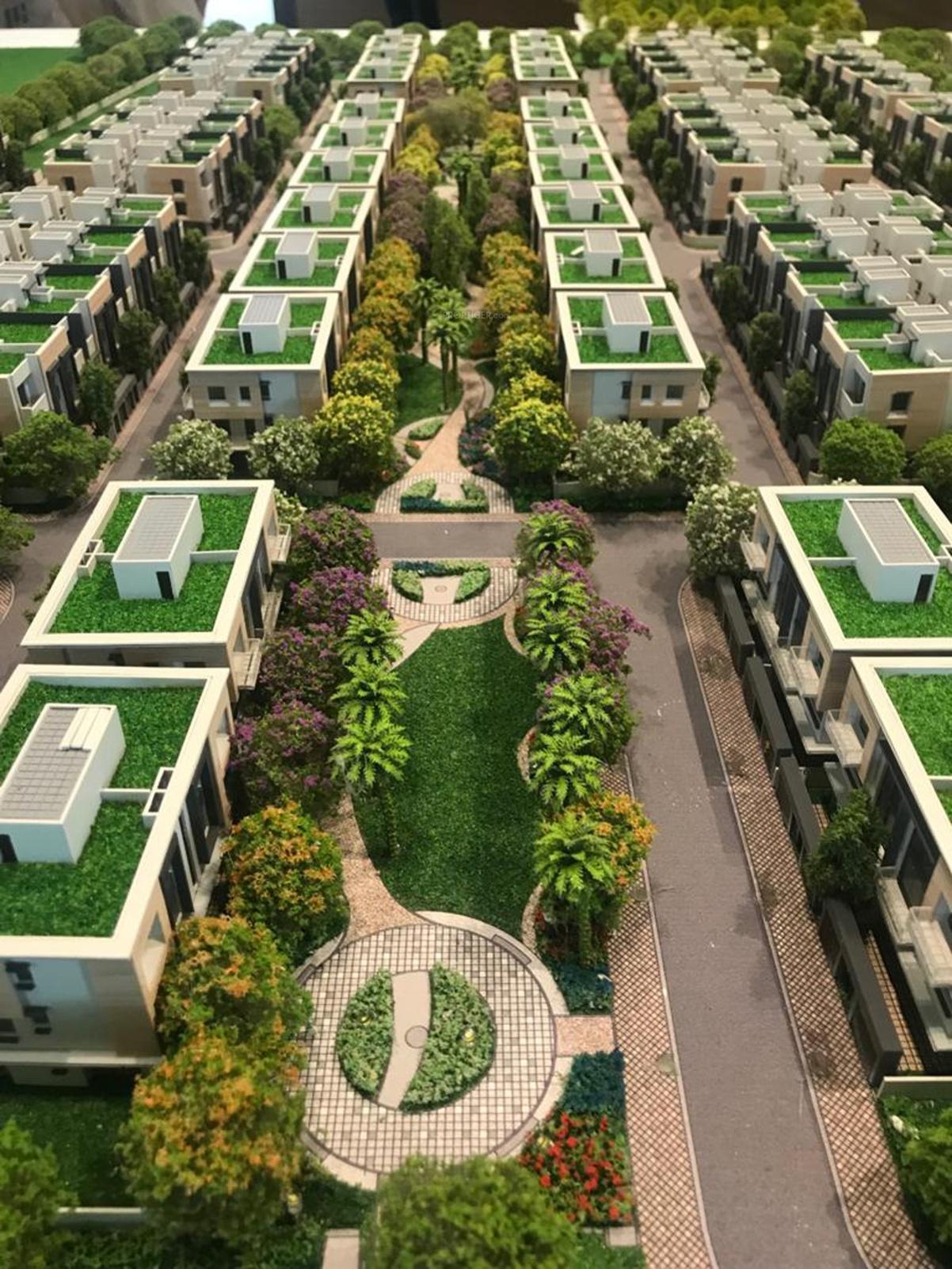 magnolia-cluster-3 Elevation