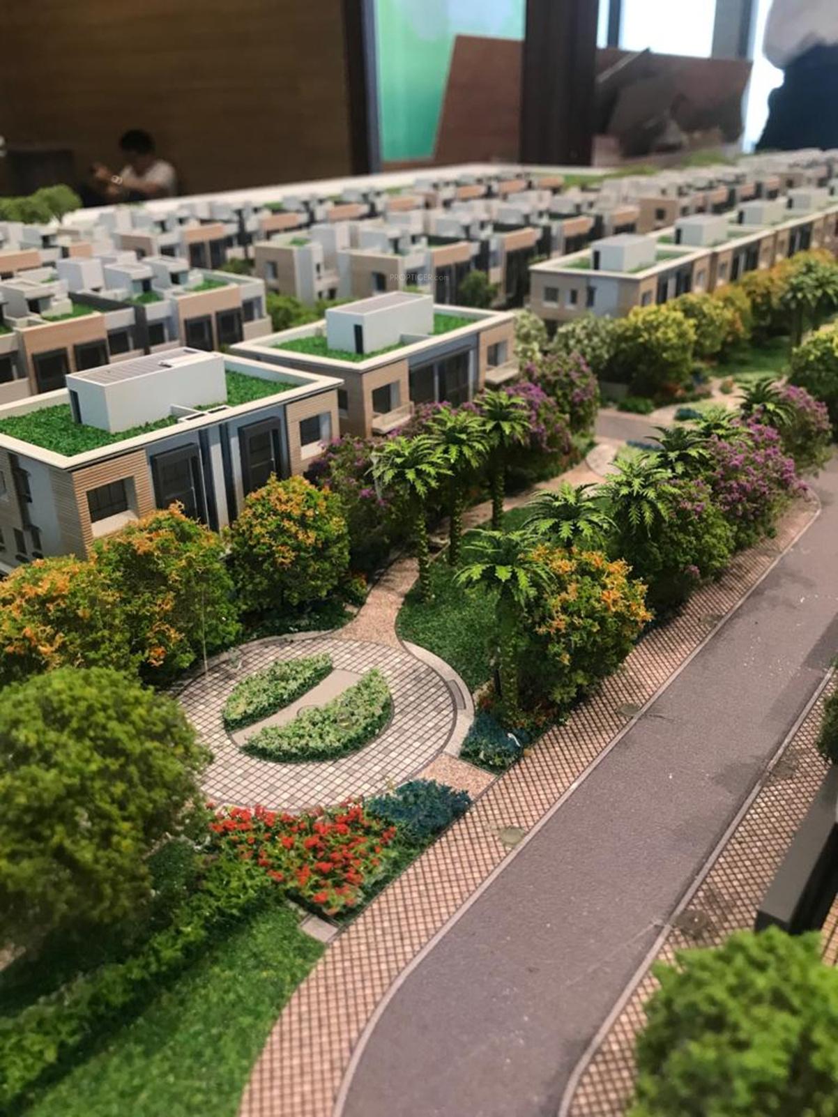 magnolia-cluster-3 Elevation