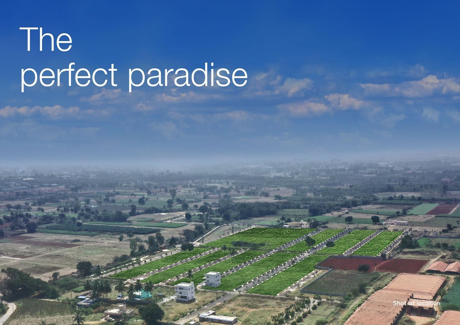  rbd-meadows Elevation