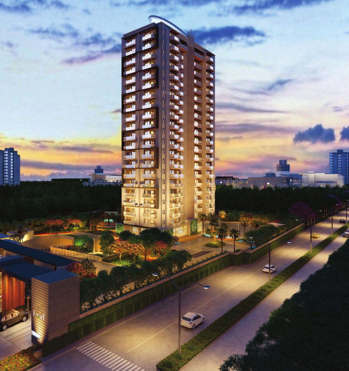  leaf Images for Project