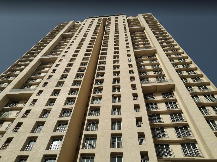  urbania-aurelia Elevation