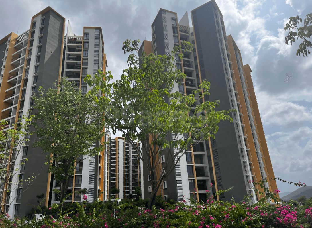  sensorium-phase-i Elevation