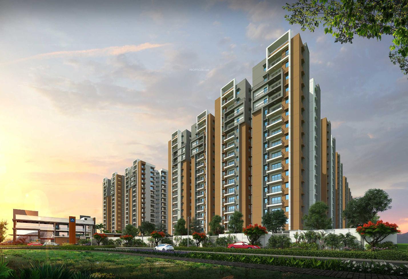 kanopy-marigold Elevation