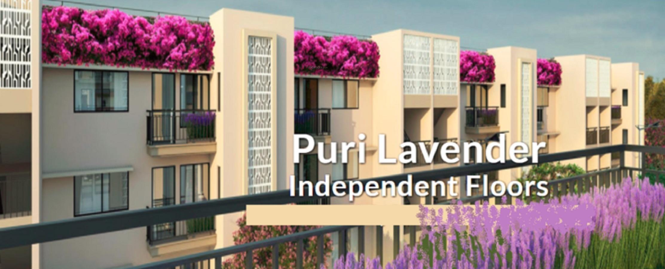  lavender-floors Elevation