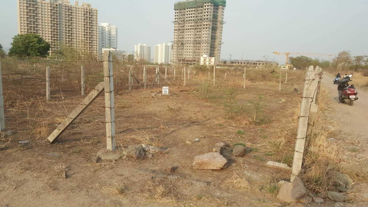  5-star-values-plus Elevation