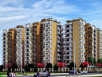 Nirmaan Gulmohar Trends image