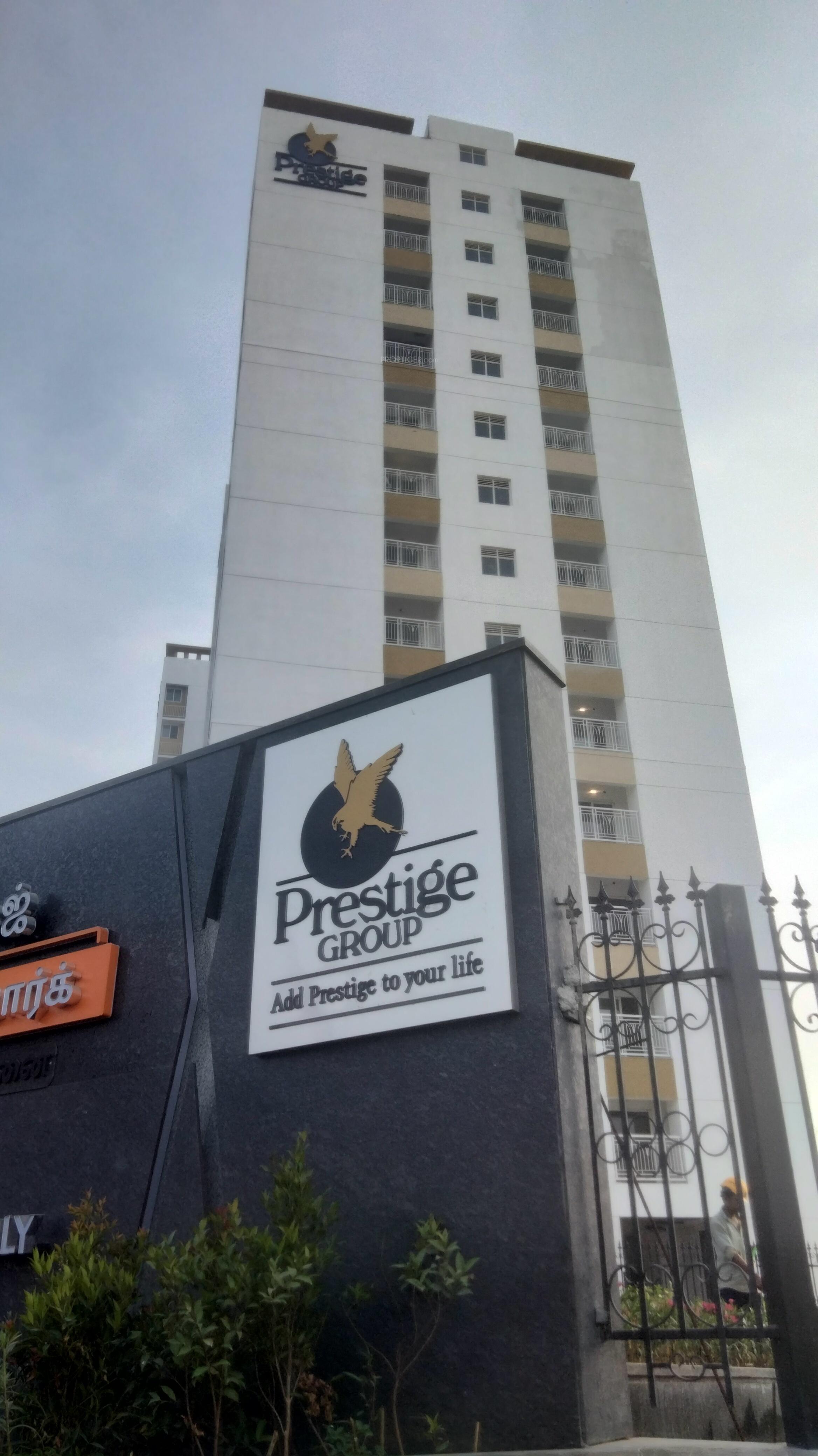  windsor-park Elevation