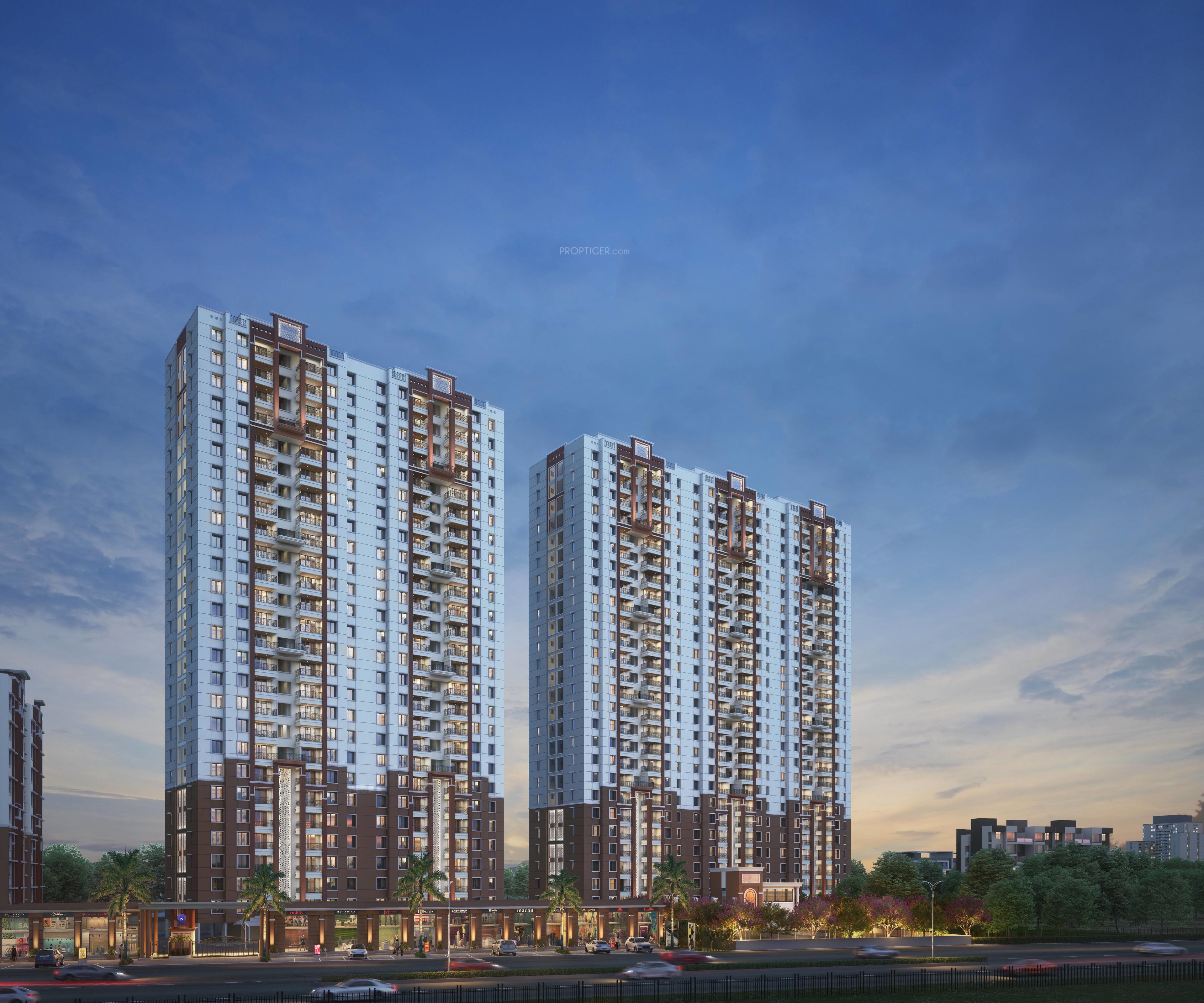  exuberance Elevation