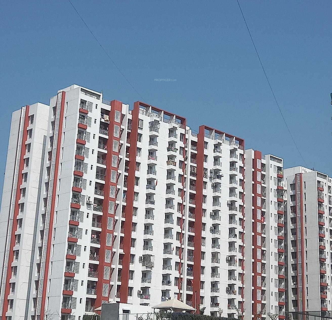  rhythm-county Elevation