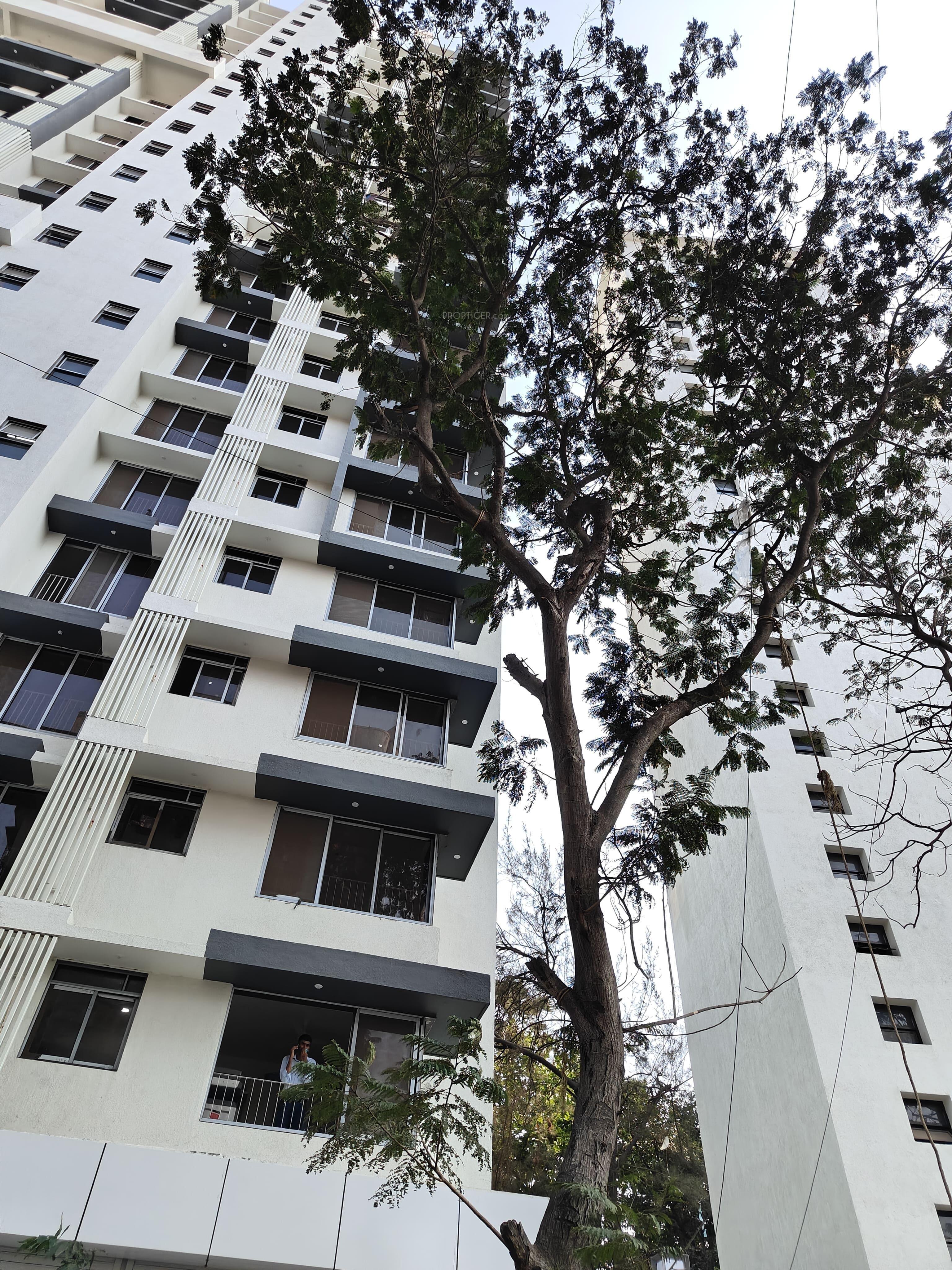  monte-verita-north-annexe Elevation