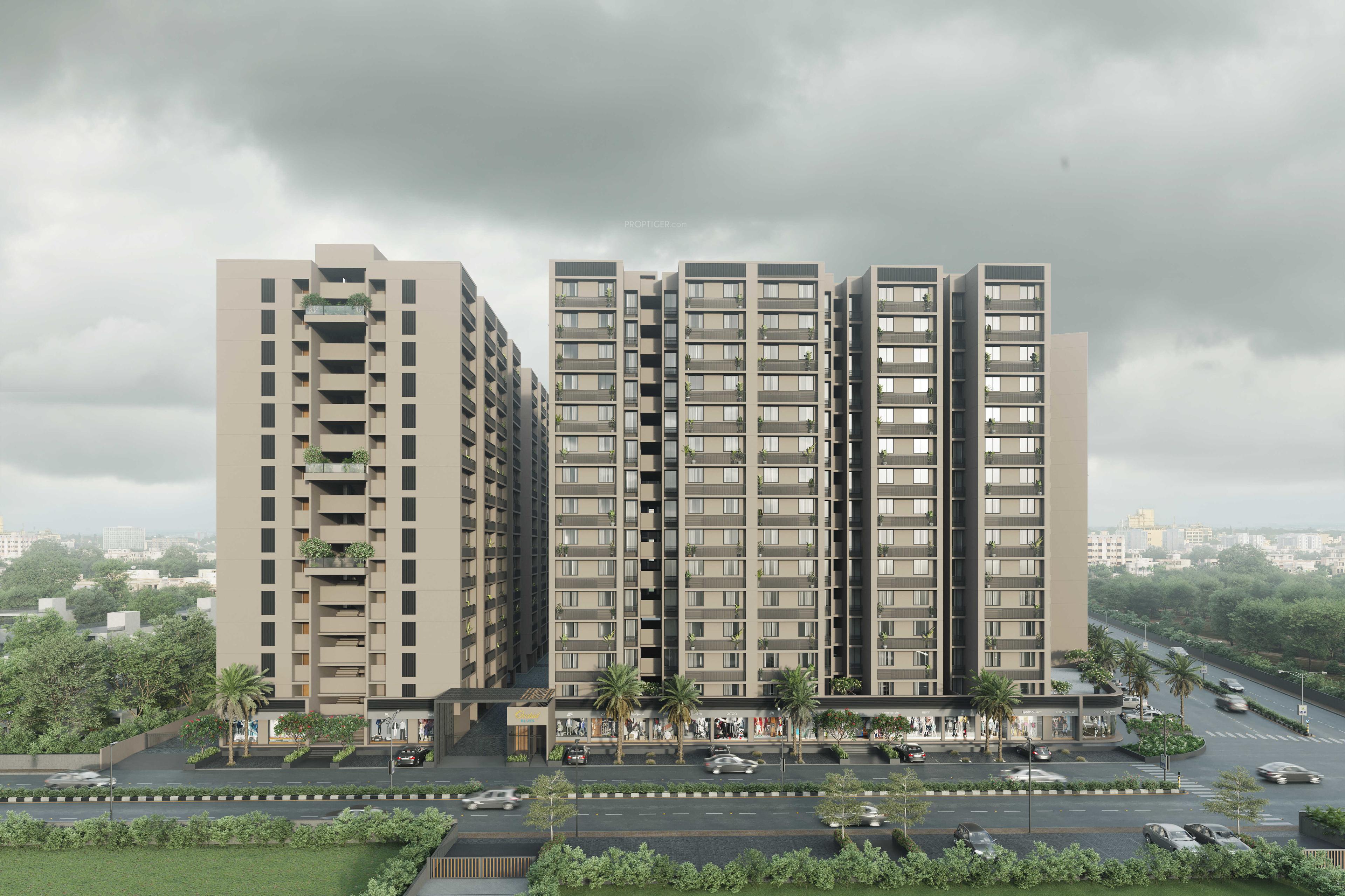  orchid-blues Elevation