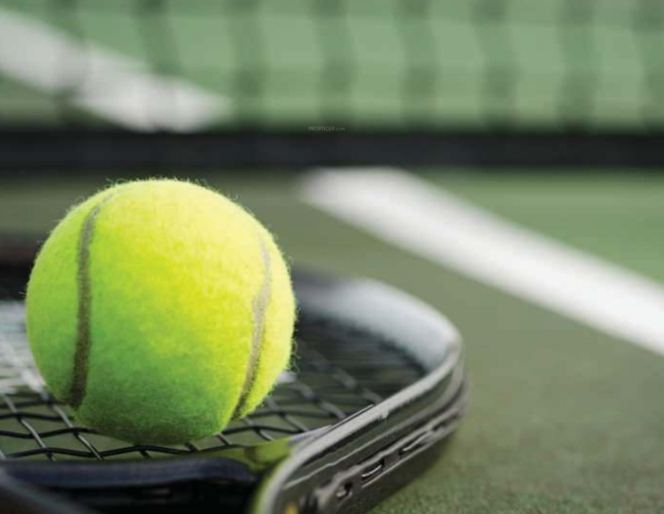  global-city-phase-v Badminton Court