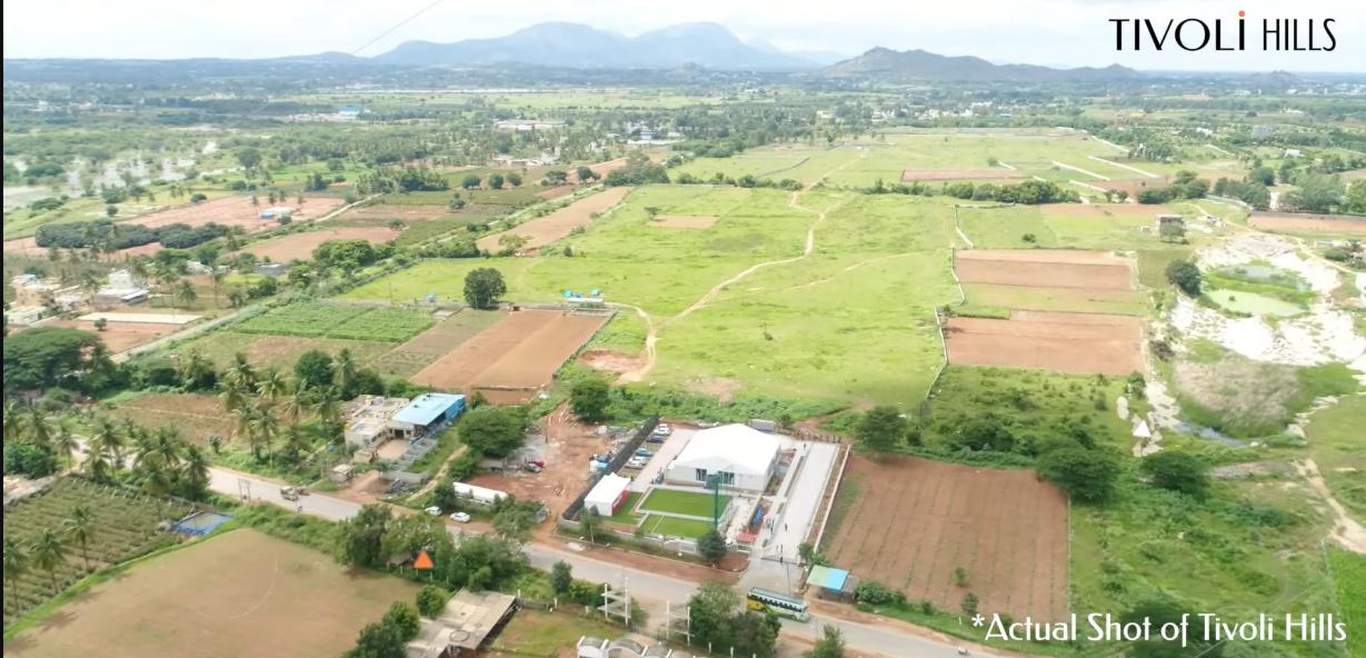 Tivoli Hills