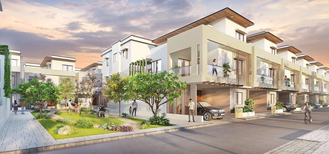  chirping-grove Elevation