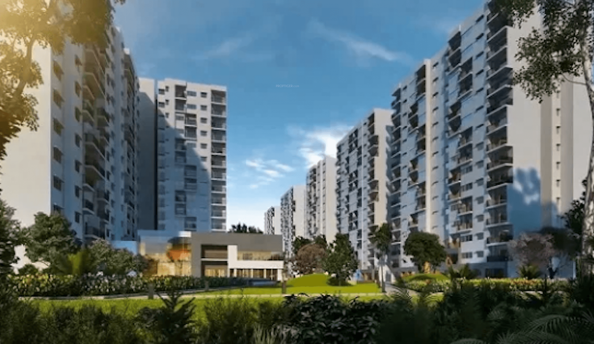  park-retreat Elevation