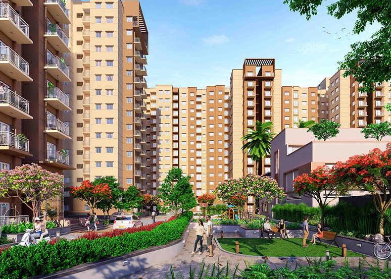  wyt-field-2 Elevation