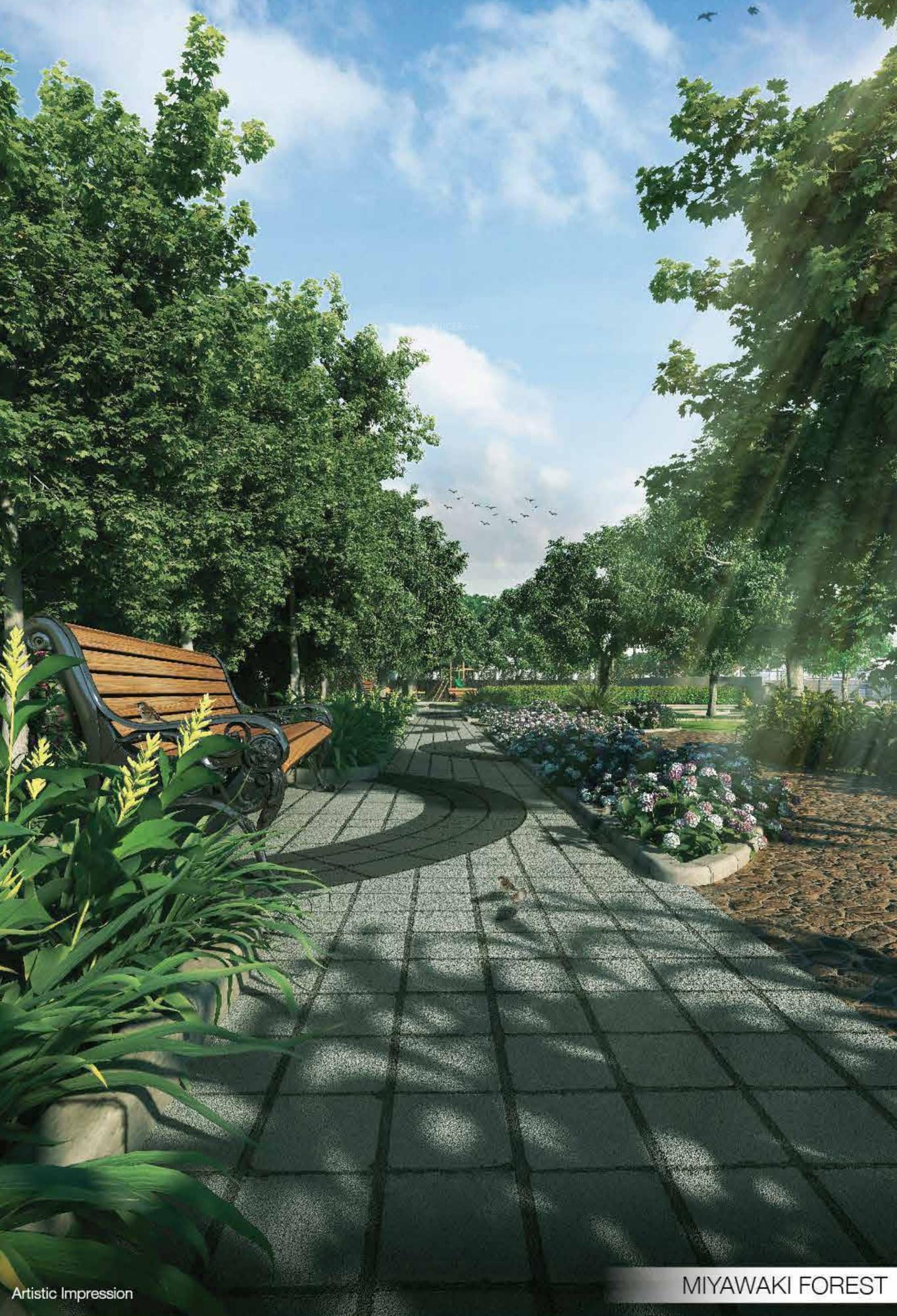  purva-hibiscus Others