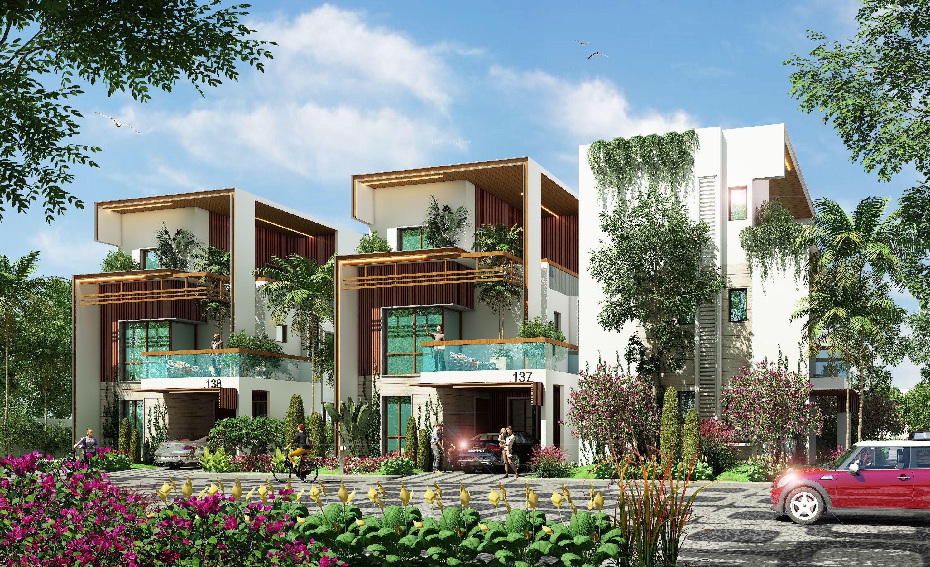  golden-feet Elevation