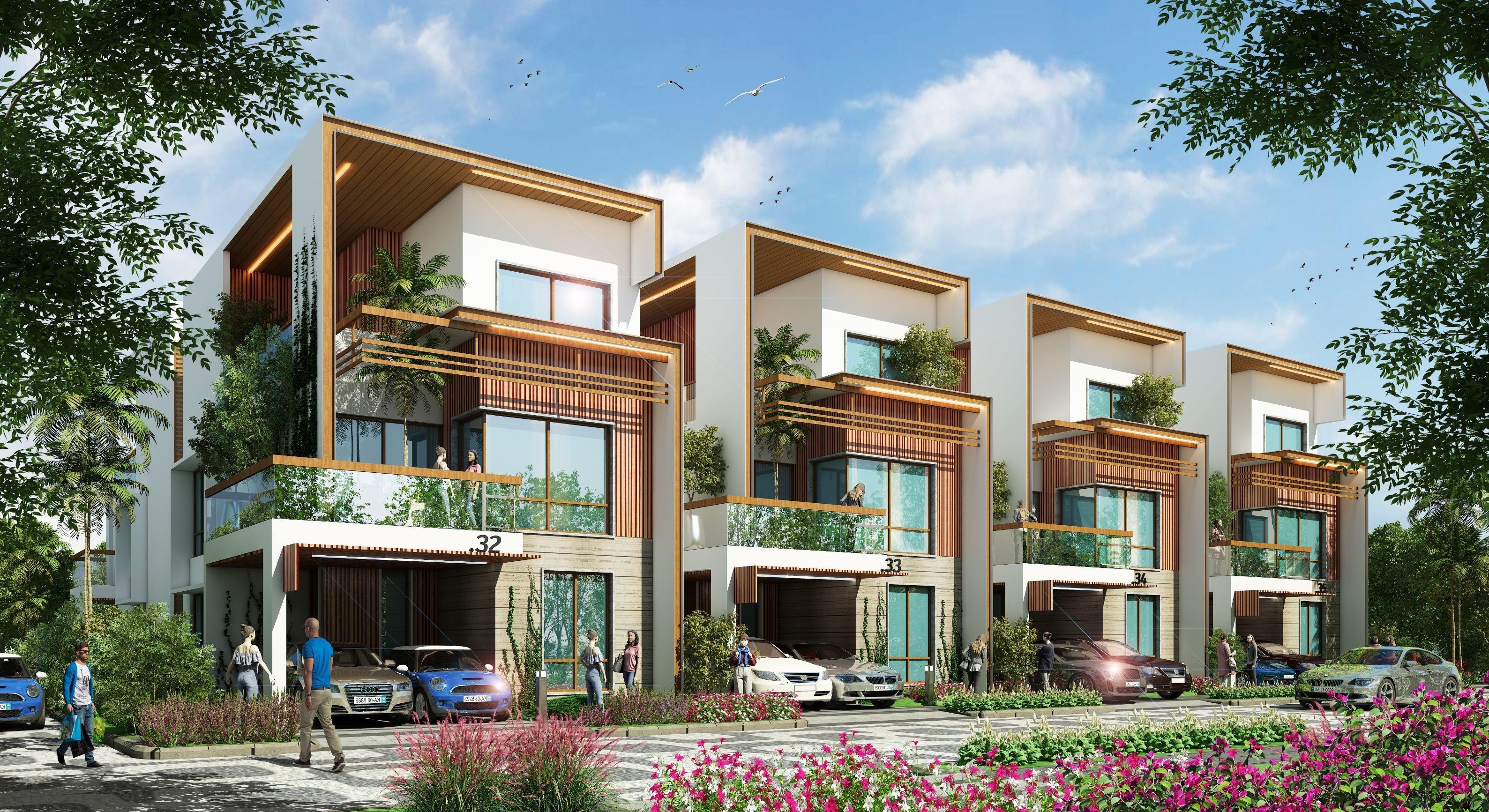  golden-feet Elevation