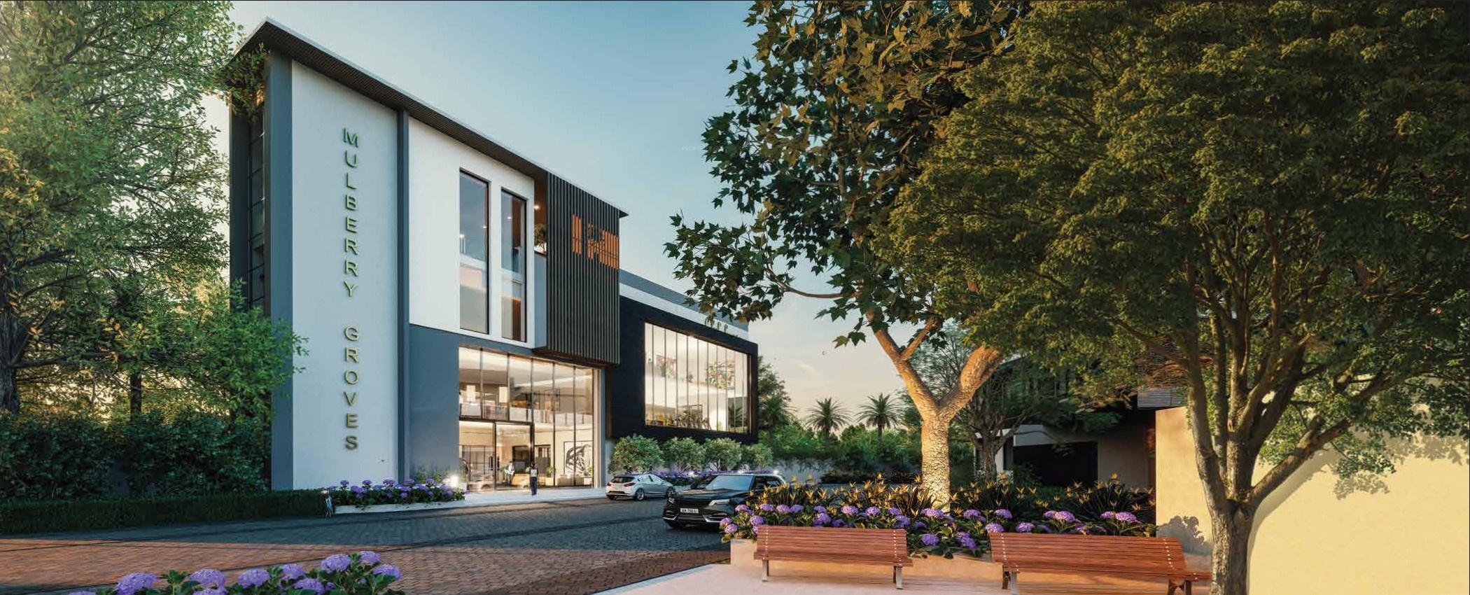  mulberry-groves Elevation