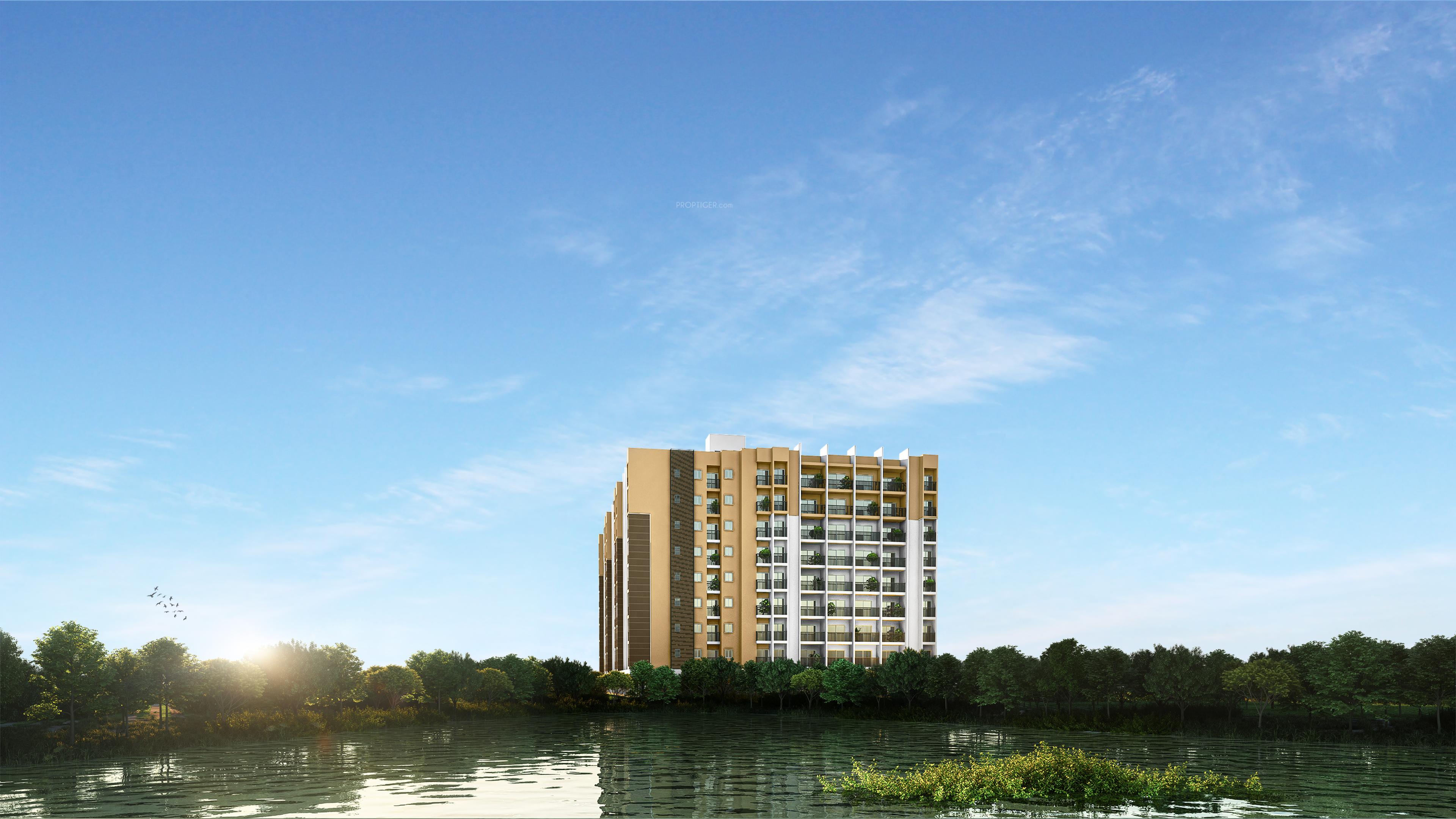  springwater Elevation