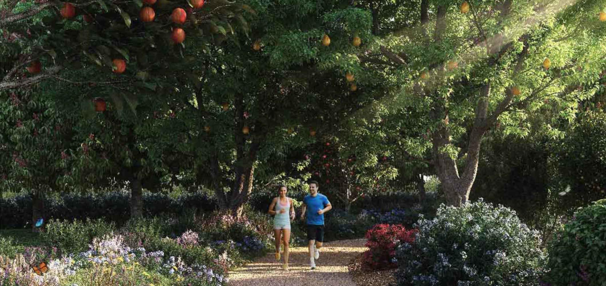  parkland-estate Jogging Track