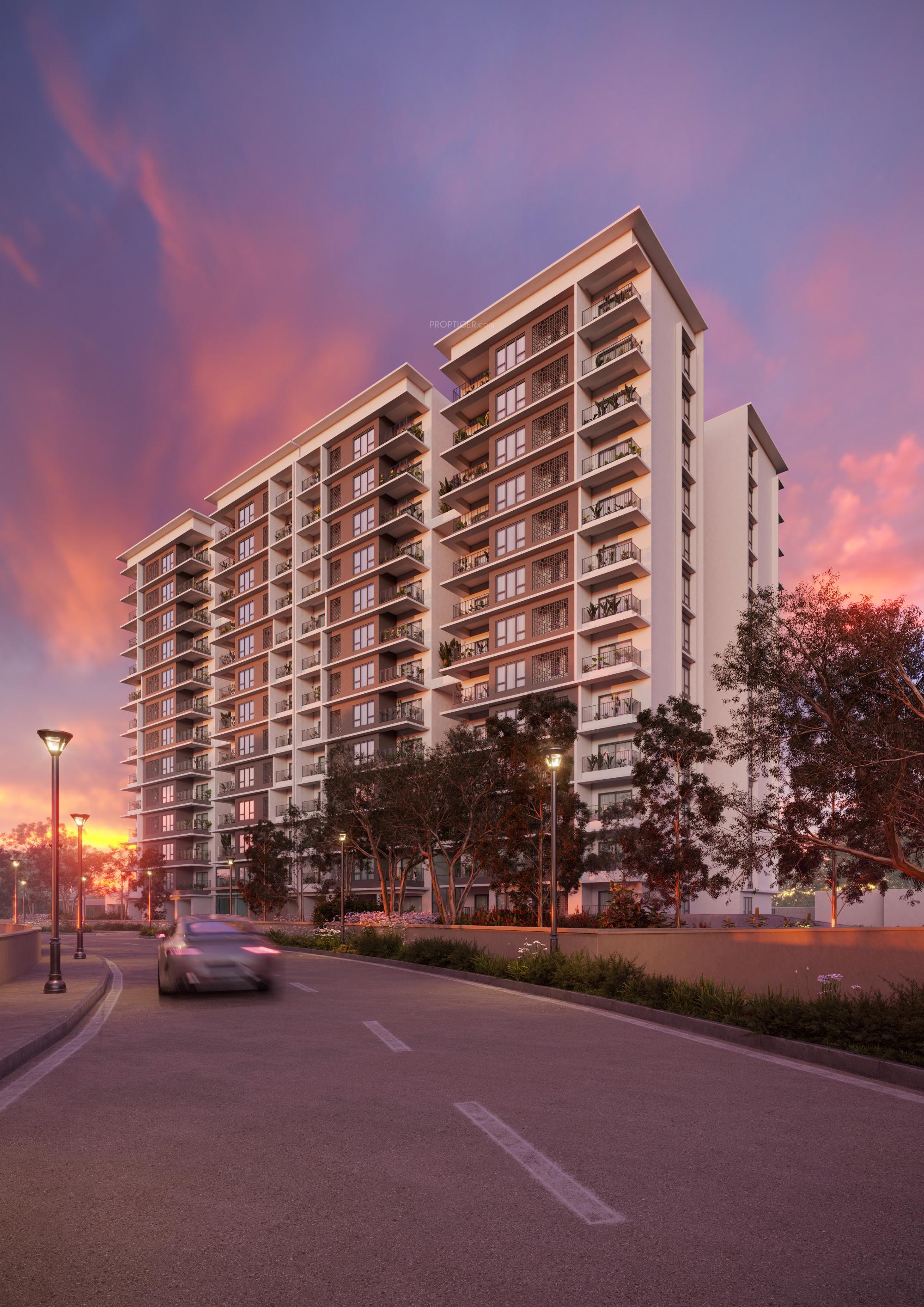  meadows-whispering-hill Elevation