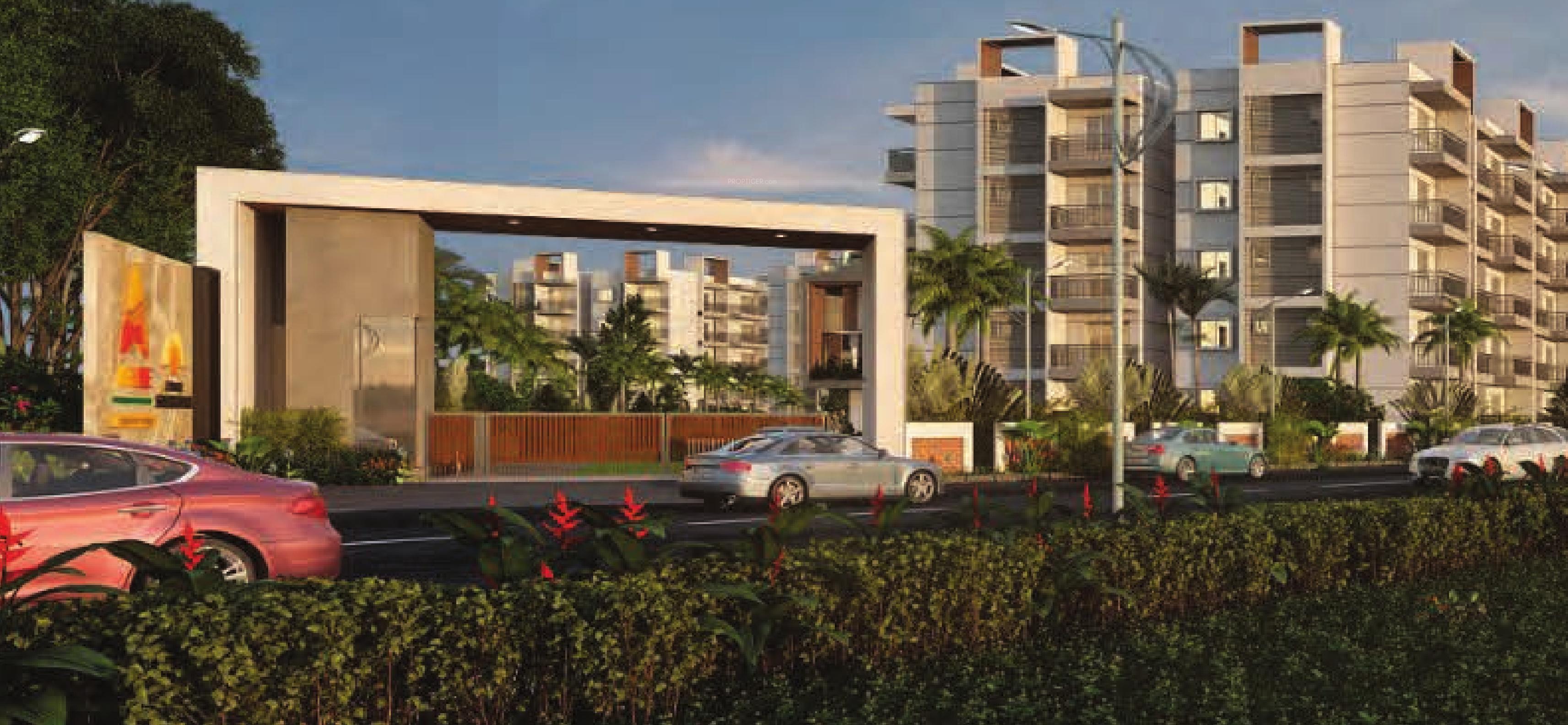 Silicon Shine Phase 2