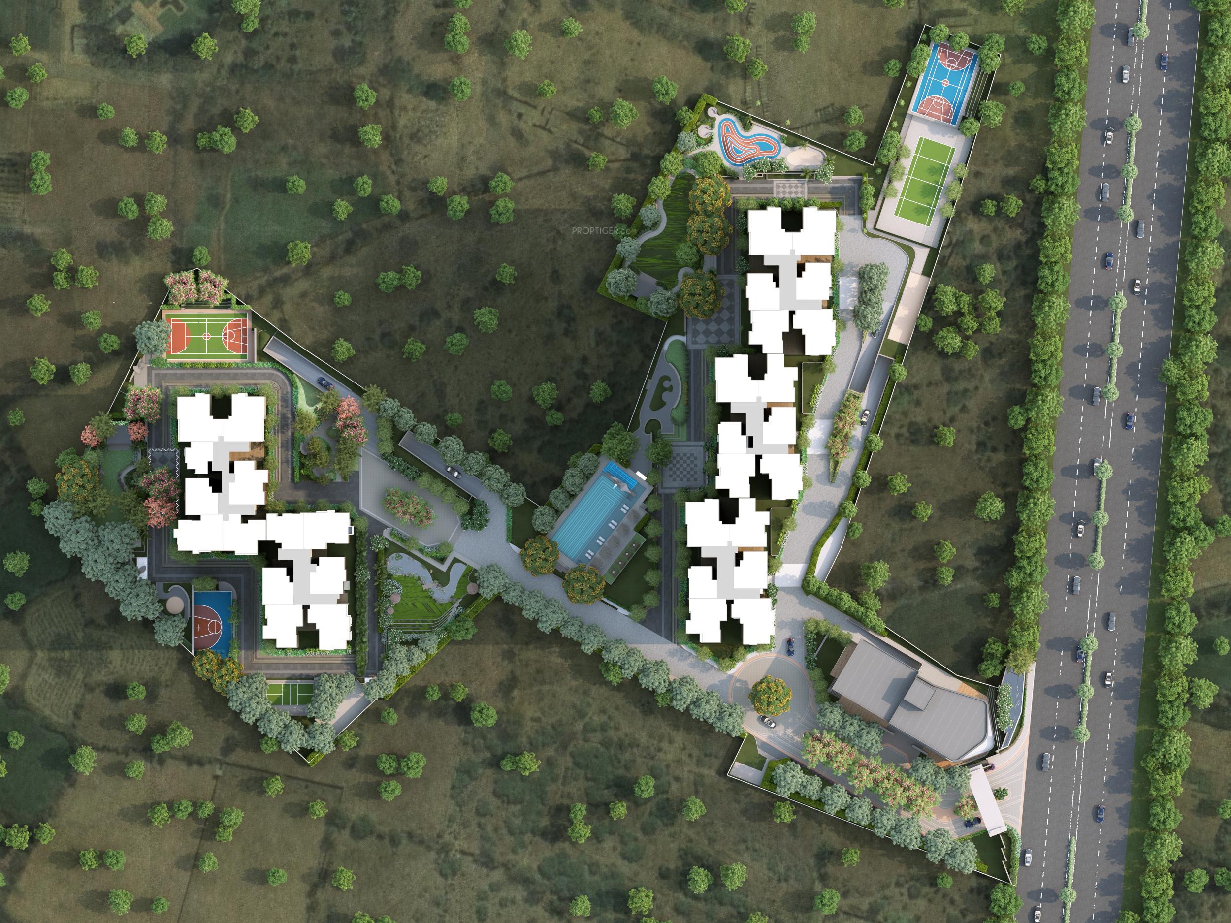  orchid-life Elevation