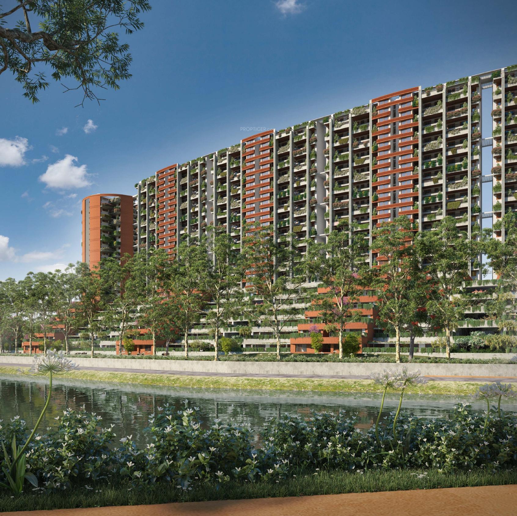 Pursuit Of A Radical Rhapsody Phase 2