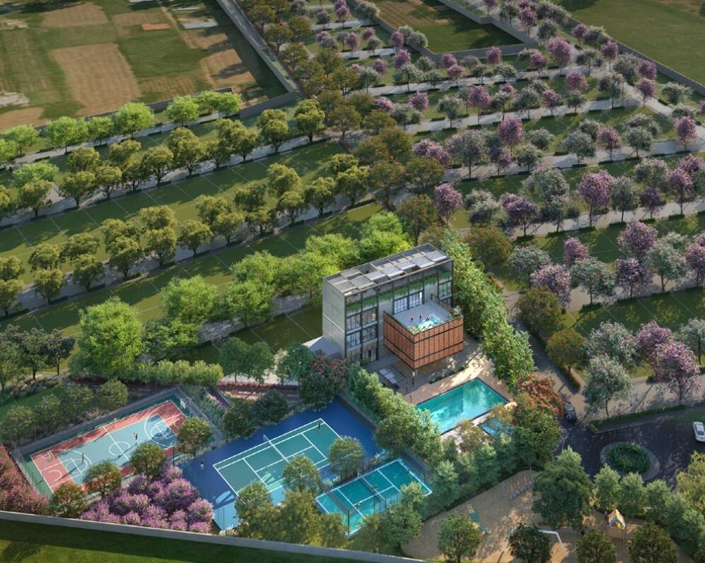 Promise of Spring Phase 2