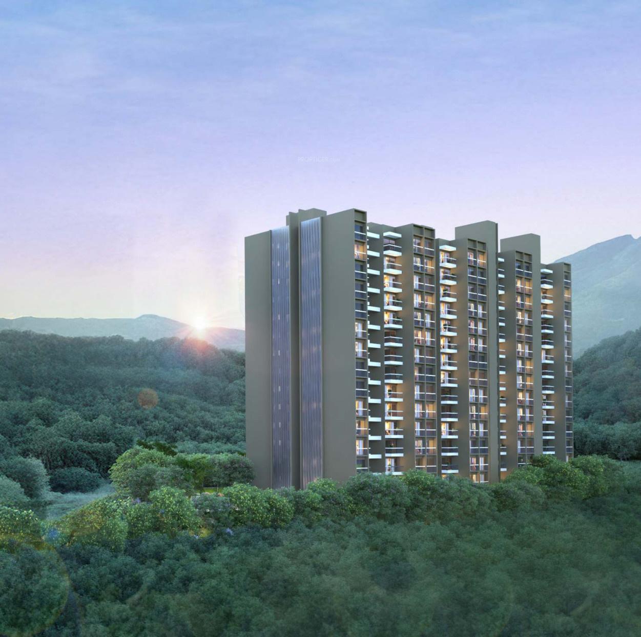 songbirds-phase-f Elevation